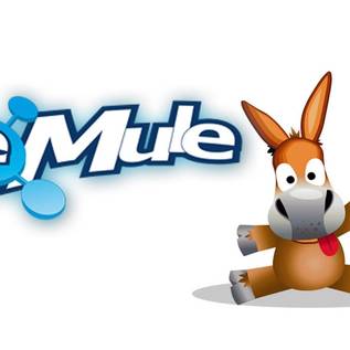 Imagem de Que fim levou o eMule, programa com icônico mascote que servia para baixar músicas?