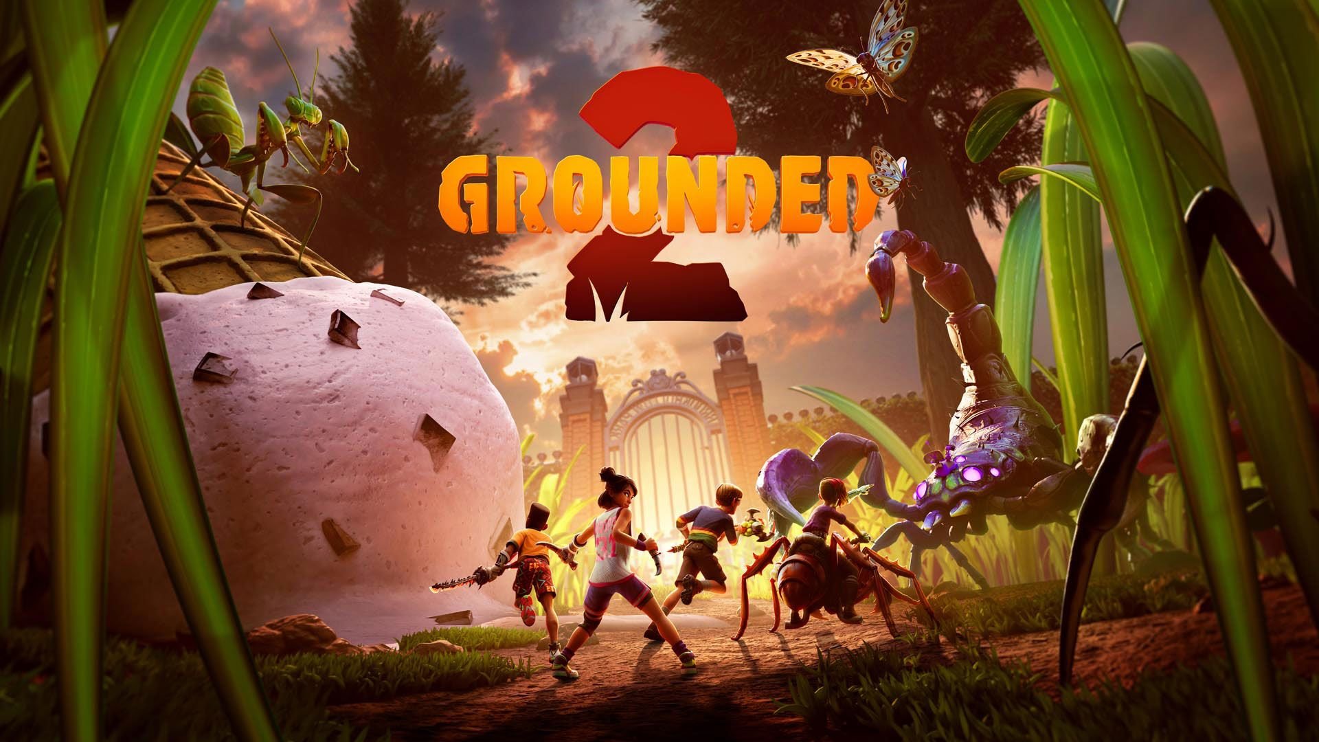 grounded 2.jpg