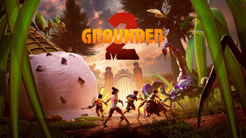grounded 2.jpg