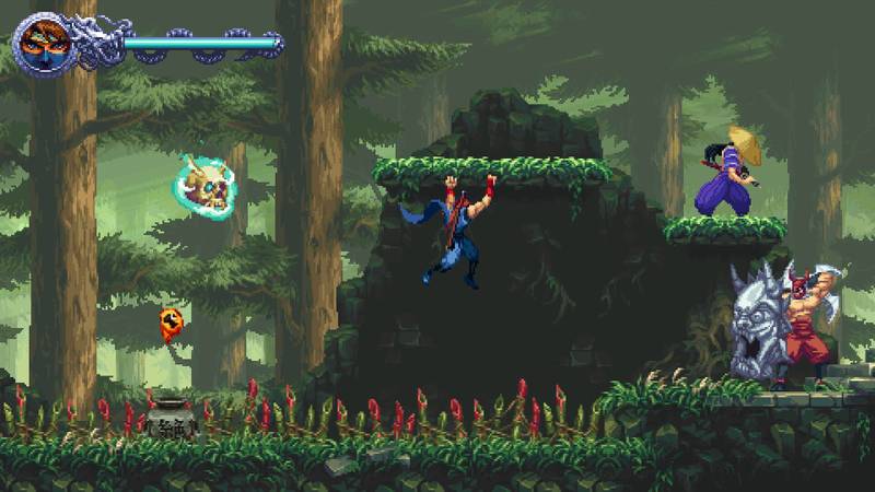 ninja gaiden.jpg