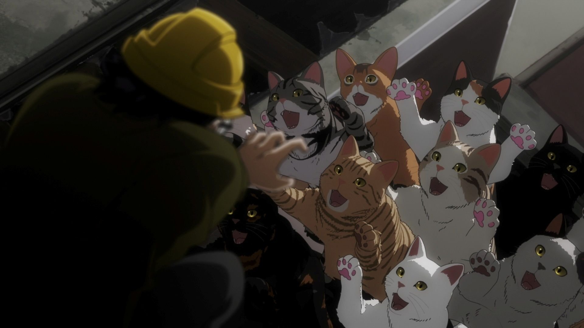 Niaght-of-the-Living-Cat-Review-Crunchyroll-02.jpg