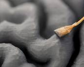 Paciente com doença neurológica volta a 'falar' após implante de chip cerebral