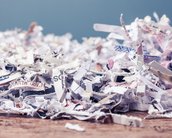 Empresa dona do Claude destruiu milhões de livros para treinar a IA; entenda o caso