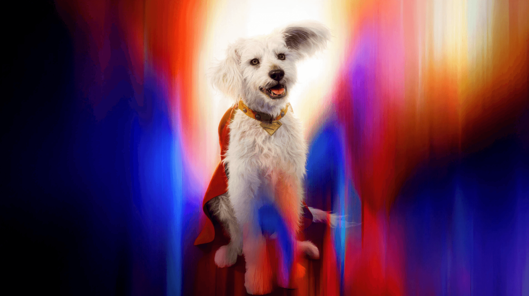 Superman de James Gunn chega para limpar a imagem do herói da DC — Crítica O Superman está de volta aos cinemas em grande estilo! Com direção e roteiro de James Gunn, o novo longa do herói carrega uma missão importante: não apenas inaugurar o novo universo cinematográfico da DC, como também resgatar a essência de esperança e bondade que sempre definiu o personagem. Superman de James Gunn chega para limpar a imagem do herói da DC — Crítica