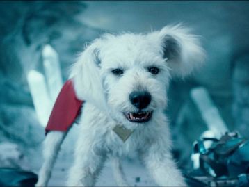 Qual a origem e os poderes de Krypto? Saiba tudo sobre o cachorro do Superman