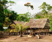 Missionários usam gadgets ilegais para evangelizar indígenas da Amazônia