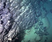 Terras raras em ilha submersa podem tornar o Brasil uma potência no mercado de eletrônicos?
