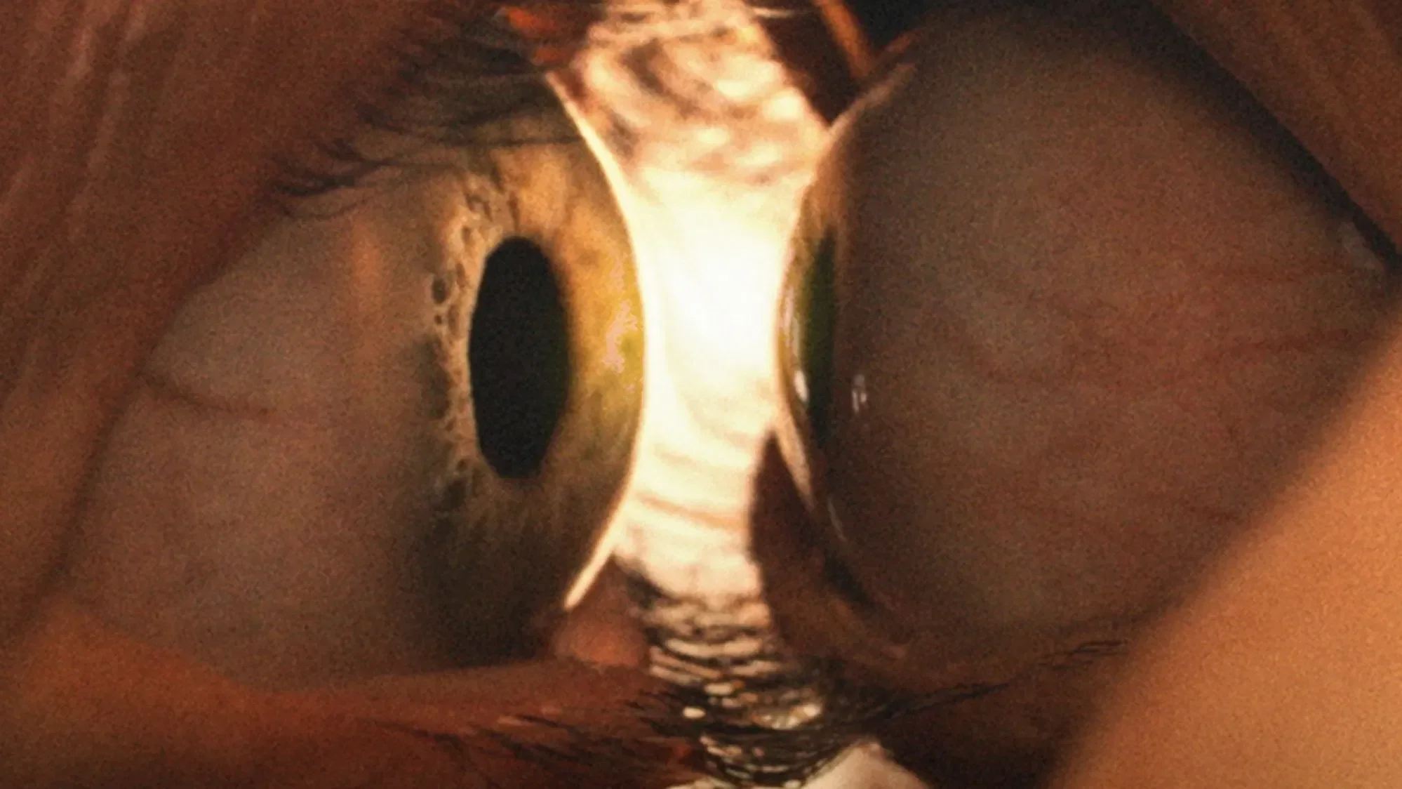 Crítica: Juntos é um filme de terror fantasioso ou um romance realista?
