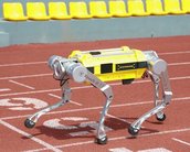 Cão-robô chinês entra para o Guinness após quebrar recorde de velocidade