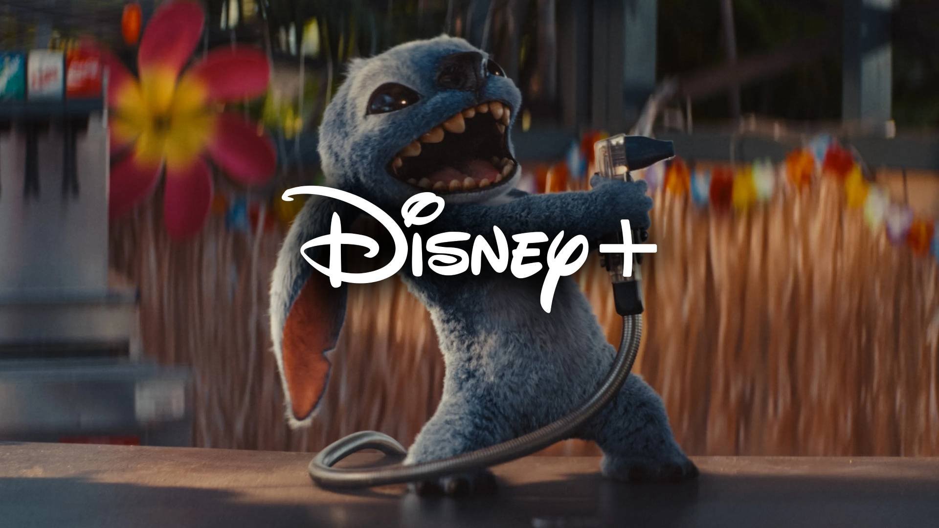 Disney+ recebe Lilo & Stitch e mais lançamentos em setembro! Veja lista de estreias