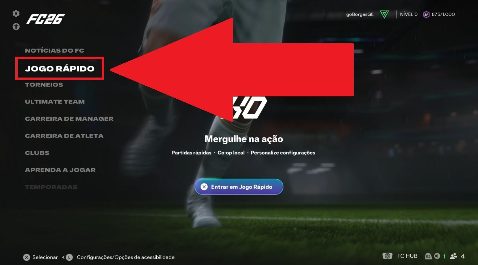 Brasileiros - 1.jpg