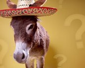 Erro 404: Descubra se você é burro [quiz]