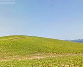 Google Street View revive wallpaper famoso do Windows XP