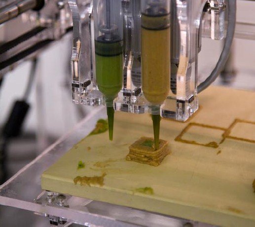 A impressora 3D de comida