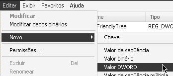 Novo valor DWORD