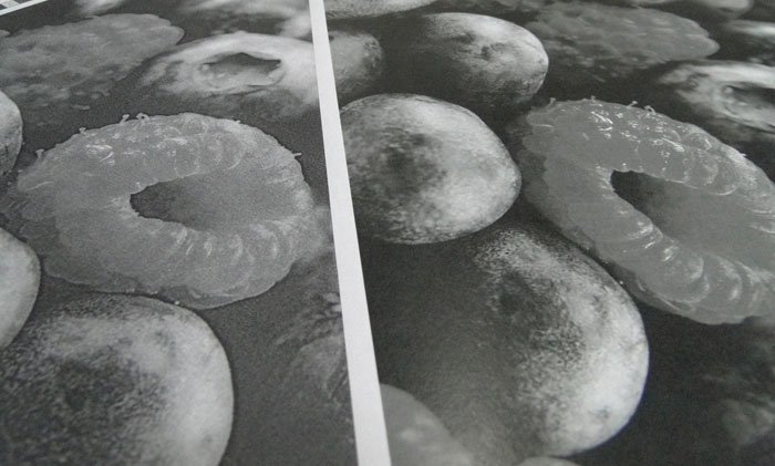 Impressão em papel sulfite é satisfatória