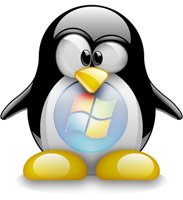 Linux e Windows