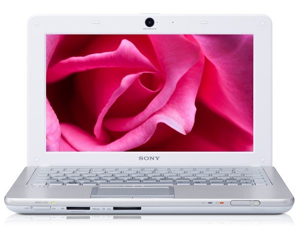 Sony Vaio W