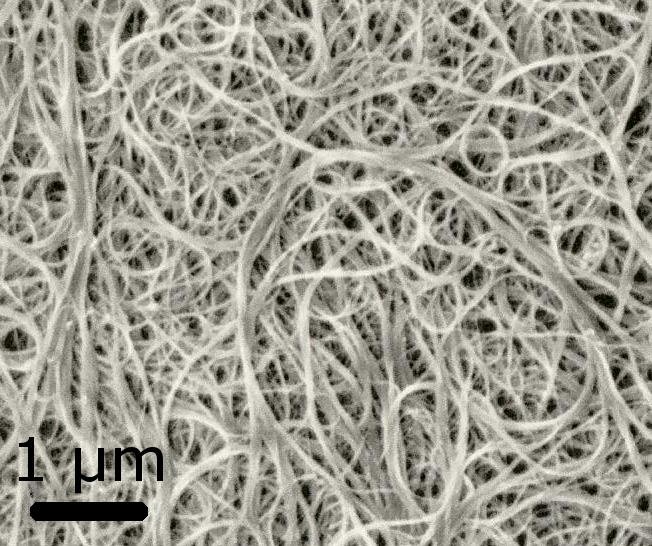Nanotubos de carbono vistos ao microscópio eletrônico