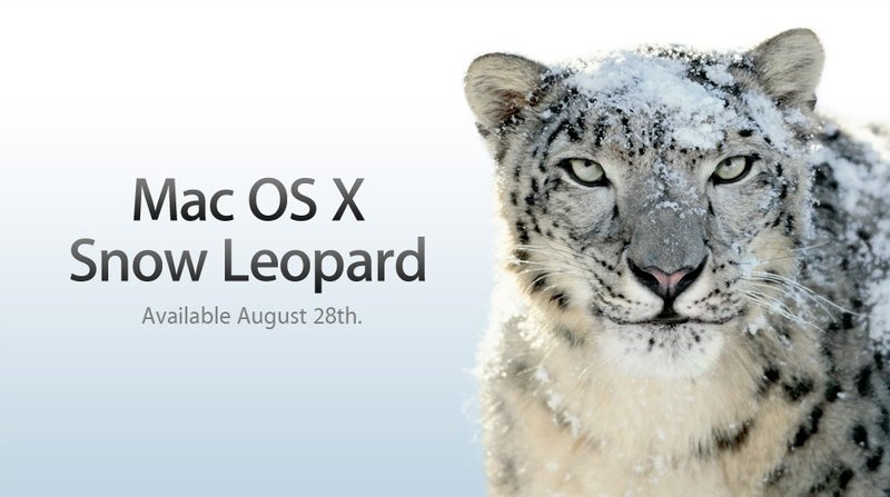 Snow Leopard