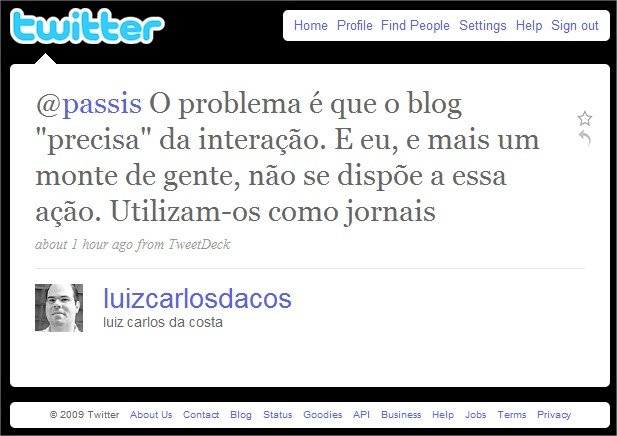 Muitas pessoas tratam os blogs como jornais e não participam da discussão.