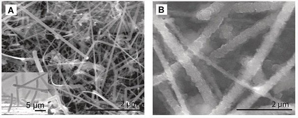 Nanofios no microscópio antes e depois da absorvição de lítio. Imagem da Universidade de Stanford