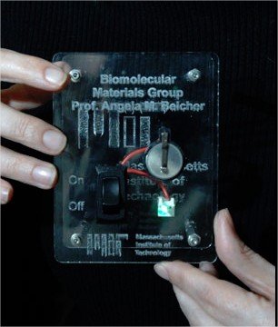 Protótipo da bateria de Vírus. Imagem de Donna Coveney para a MIT