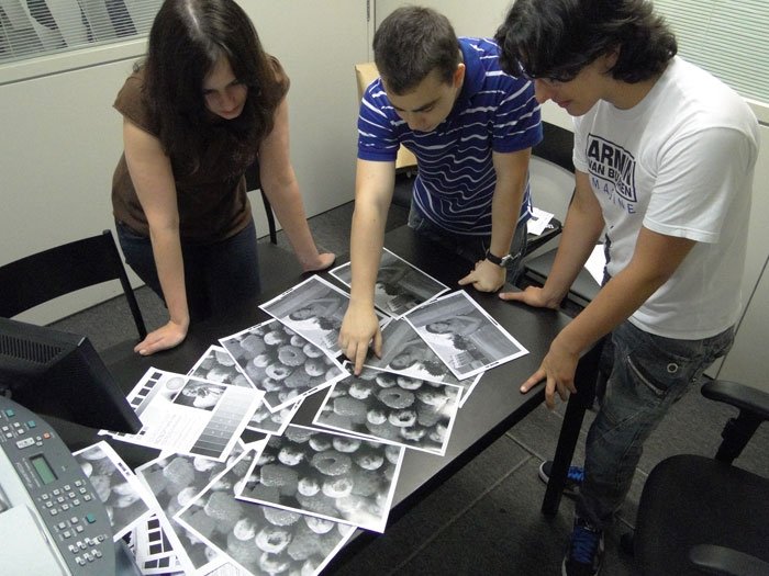 Equipe analisando as imagens de teste