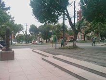 Foto em local aberto e bem iluminado