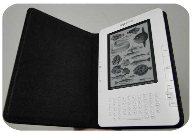 Amazon Kindle.