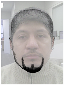 Barba