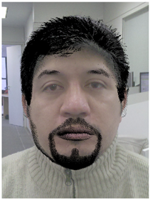 Bigodes