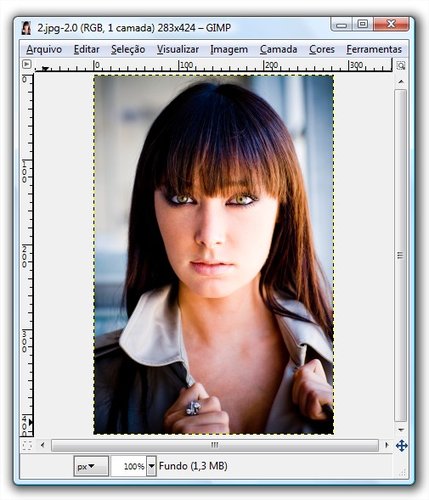 Abra o arquivo no GIMP