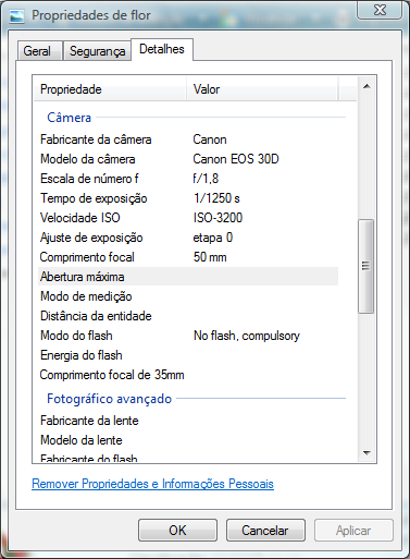 O Windows Explorer exibe dados EXIF na janela Propriedades da foto