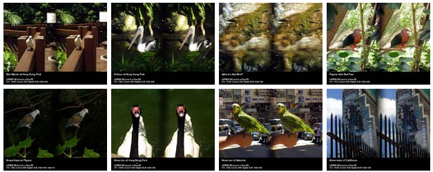 Imagens de amostra da captura com a Loreo 3D Lens in a Cap