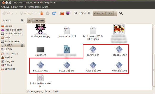 Arquivos EXE mostrados no Linux...