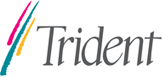 Trident Microsystems