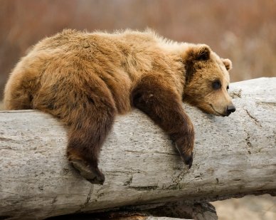 Relaxe!