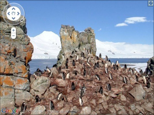 Pinguins da Antártica com o Street View