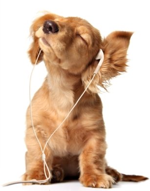Adoro ouvir música ao contrário!