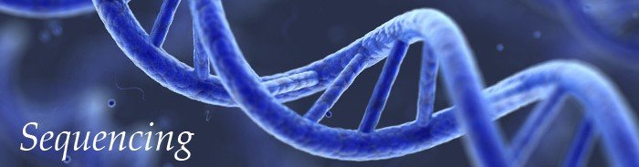 Informações digitais sobre o DNA em poucas horas
