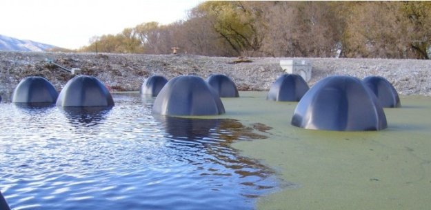 Bio-domes em ação