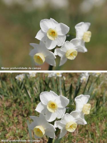 Diferenças na profundidade de campo