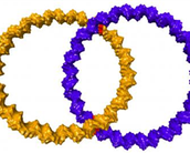 Cientistas criam alianças com DNA